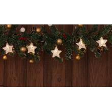 Tracon LED karácsonyi lánc, csillag 10LED fehér, elemes